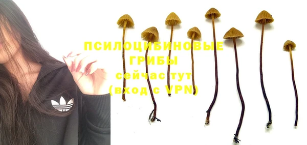 винт Аркадак