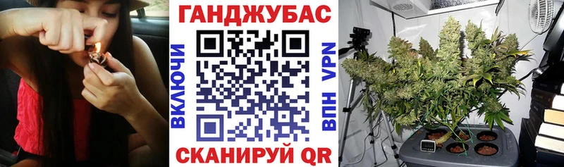 Каннабис сатива  Сатка 